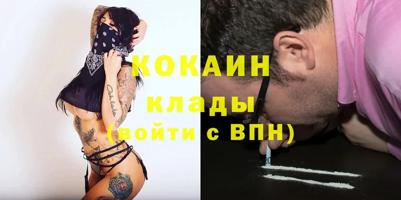 цена наркотик  Вольск  Cocaine FishScale 